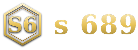 s 689 logo